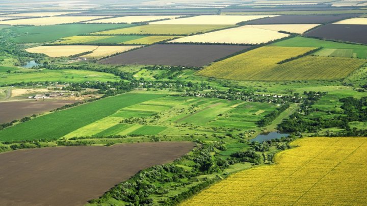 На столичному Подолі Замкову гору розчистили від чагарників, тепер там можна знову милуватися краєвидами Києва