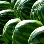 Продуктовые ярмарки в Киеве 19 – 22 августа: адреса