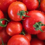 Продуктовые ярмарки в Киеве 9 - 10 августа: адреса