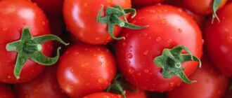 Продуктовые ярмарки в Киеве 9 - 10 августа: адреса