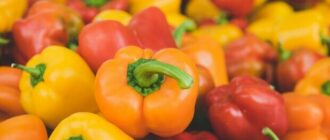 Продуктовые ярмарки в Киеве 16 – 17 августа: адреса