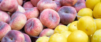 Продуктовые ярмарки в Киеве 12 – 15 августа: адреса