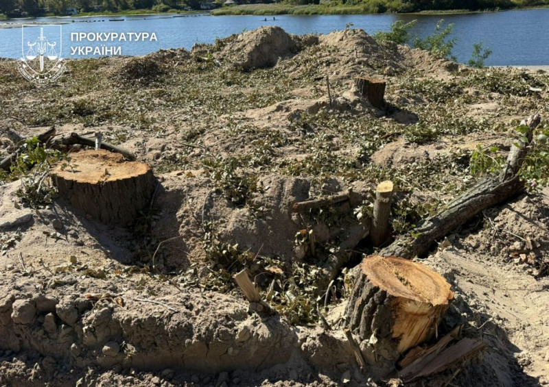 На території заказника Горбачиха у Києві почали вирубку дерев. Що каже забудовник