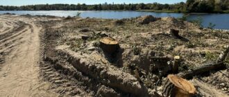 На території заказника Горбачиха у Києві почали вирубку дерев. Що каже забудовник
