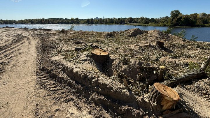 На території заказника Горбачиха у Києві почали вирубку дерев. Що каже забудовник