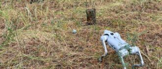 Собаки-роботи обстежили ліс на Київщині після атаки РФ