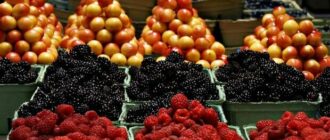 Продуктовые ярмарки в Киеве 27 – 28 сентября: адреса