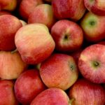 Продуктовые ярмарки в Киеве 9 - 11 сентября: адреса