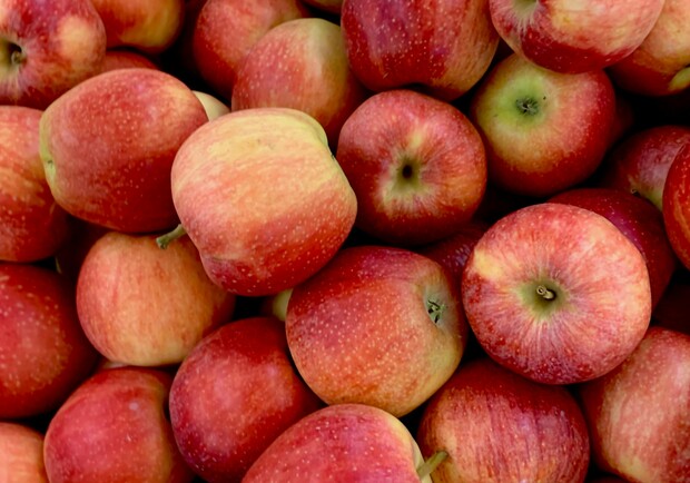 Где на этой неделе в Киеве пройдут продуктовые ярмарки. Адреса 