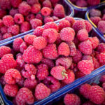 Продуктовые ярмарки в Киеве 23 - 26 сентября: адреса