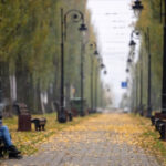 В Киеве началась метеорологическая осень