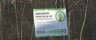 Київрада має стати на захист зеленої зони столиці: кияни вимагають врятувати Протасів Яр від забудовників