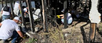"Довкілля не має кордонів": Київ долучився до Всесвітнього дня прибирання