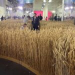 Шабля Мазепи, пояс Усика та пшеничне поле: чим здивує виставка Ukraine WOW в Києві