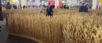 Шабля Мазепи, пояс Усика та пшеничне поле: чим здивує виставка Ukraine WOW в Києві