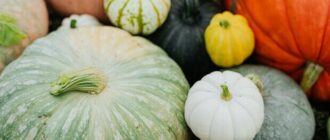 Продуктовые ярмарки в Киеве 20 – 21 сентября: адреса