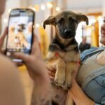 AdoptMe Days на ВДНГ: протягом вихідних в Києві триватиме фестиваль адопції тварин