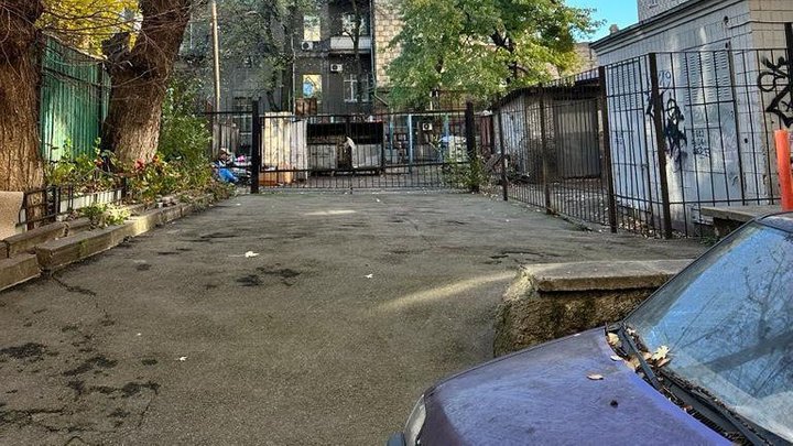 Київрада має стати на захист зеленої зони столиці: кияни вимагають врятувати Протасів Яр від забудовників