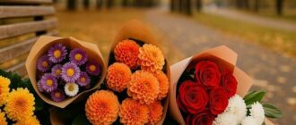 ТОП-7 квітів, що найкраще пасують для осінніх свят та подій