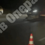 Під Києвом авто збило лося