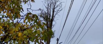 На Київщині запроваджують графіки стабілізаційних відключень світла. Коли вимикатимуть електроенергію