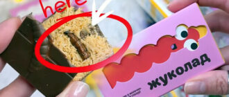 В Украине появился "Жуколад" - шоколад с настоящими личинками жуков, где купить и безопасно ли В Украине появился "Жуколад" - шоколад с настоящими личинками жуков, где купить и безопасно ли