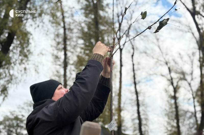 "Ми фотографувались тут після весілля": в Києві висадили сакури на згадку про загиблих військових