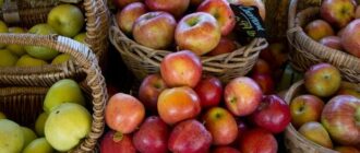 Продуктовые ярмарки в Киеве 4 - 5 октября: адреса