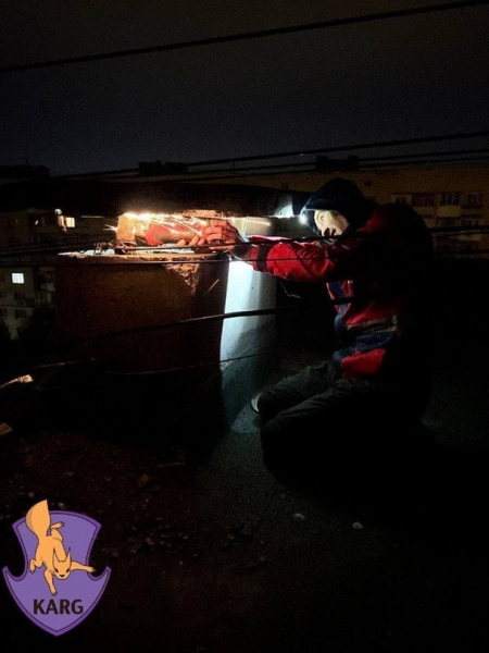 
 У Києві домашні коти влаштували "велику пригоду" для рятувальників – що сталося (фото)
 