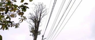 У Києві та області відключатимуть світло. Графіки У Києві та області відключатимуть світло. Графіки
