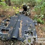 У лісосмузі в Києві знайшли "шахед" із вибухівкою