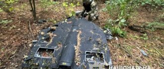 У лісосмузі в Києві знайшли "шахед" із вибухівкою