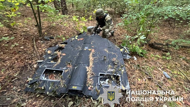 У лісосмузі в Києві знайшли "шахед" із вибухівкою