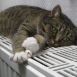 На Київщині почався опалювальний сезон