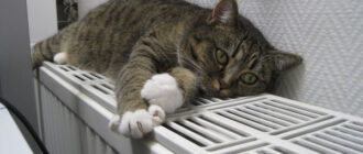 На Київщині почався опалювальний сезон На Київщині почався опалювальний сезон