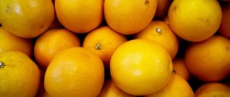 Продуктовые ярмарки в Киеве 21 – 24 октября: адреса