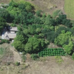 У наркоаграріїв Києва вилучили 50 мішків коноплі