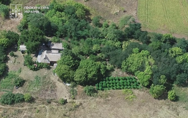 У наркоаграріїв Києва вилучили 50 мішків коноплі У наркоаграріїв Києва вилучили 50 мішків коноплі