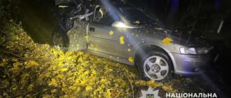 Компанія із підлітків врізалась в дерево на Київщині: за кермом був 15-річний водій, є загиблий