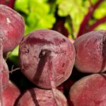Продуктовые ярмарки в Киеве 11 – 12 октября: адреса
