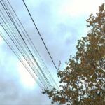 У Києві та області діятимуть графіки обмеження електроенергії. Коли вимикатимуть світло