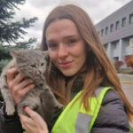 Ракетна атака на Київ: врятоване з руїн кошеня знайшло свій дім у поліцейської