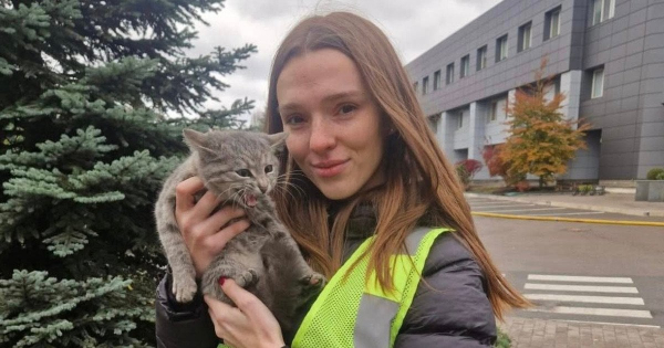 Ракетна атака на Київ: врятоване з руїн кошеня знайшло свій дім у поліцейської
  
 Ракетна атака на Київ: врятоване з руїн кошеня знайшло свій дім у поліцейської