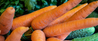 Продуктовые ярмарки в Киеве 6 - 10 октября: адреса