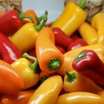 Продуктовые ярмарки в Киеве 25 – 26 октября: адреса