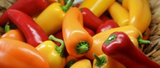 Продуктовые ярмарки в Киеве 25 – 26 октября: адреса Продуктовые ярмарки в Киеве 25 – 26 октября: адреса