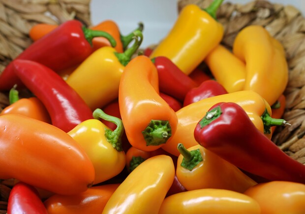 Где в эти выходные в Киеве пройдут продуктовые ярмарки. Адреса