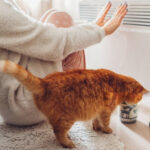 Мер Києва оголосив дату старту опалювального сезону