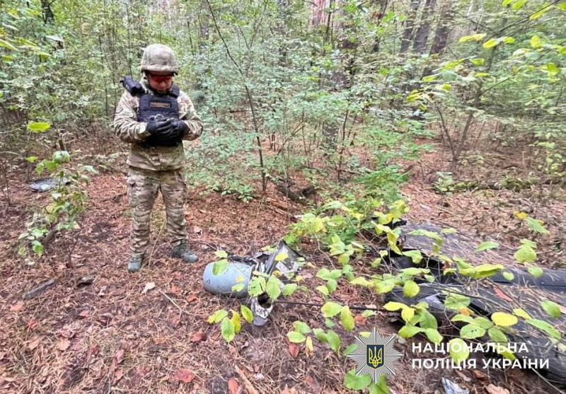 У лісосмузі в Києві знайшли "шахед" із вибухівкою