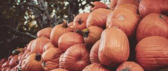 Продуктовые ярмарки в Киеве 1 - 2 ноября: адреса Продуктовые ярмарки в Киеве 1 - 2 ноября: адреса